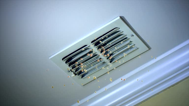 Best Air Duct Cleaning Near Me  in Arnold, MO