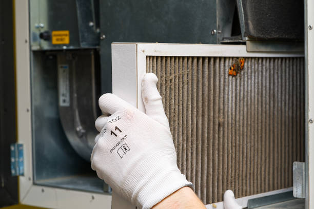 Best Professional Duct Cleaning Services  in Arnold, MO