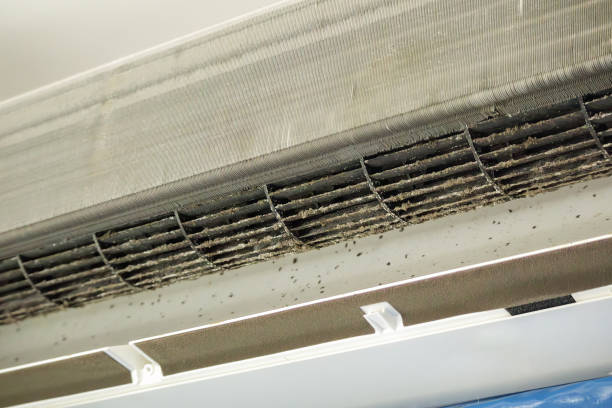Best Air Duct Mold Removal  in Arnold, MO